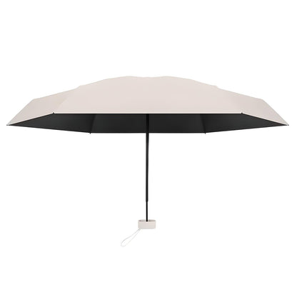 Compact Travel Umbrella & Case